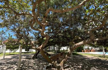 Chácara Soares Melo - Foto 50