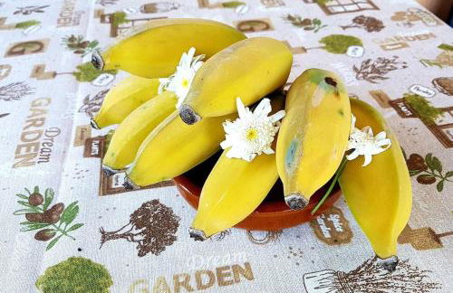 Torre Bella Gardens - Foto 13