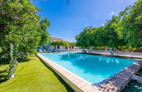 Huerta la Pimentada - Foto 69