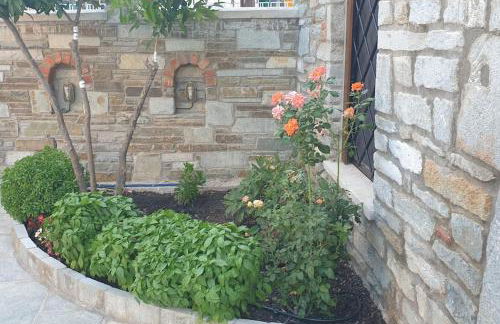 Ιkia Zmas - Foto 42