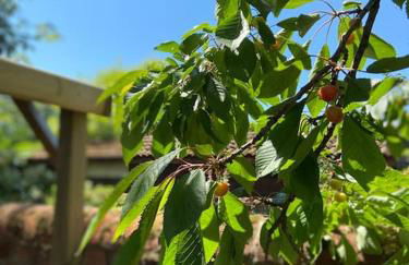 Coach House near the beach - Foto 10