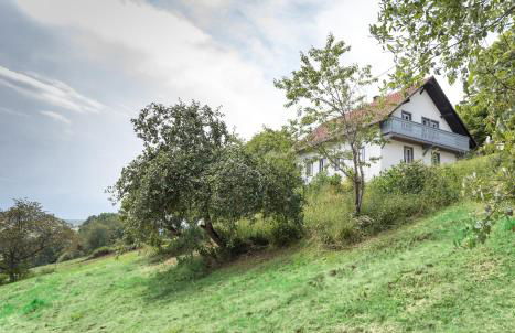 WÄLDER: Quartier Bierbronnen - Foto 3