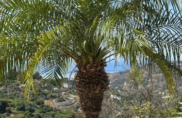 Apartamento El Alma de Frigiliana - Photo 22