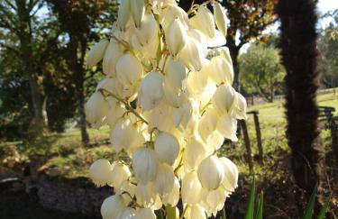 L'Hirondelle - La Cipière Gîtes - Foto 26