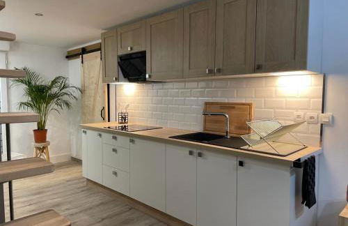 La Salamandre de l Olivier - Le Magnolia - Foto 13