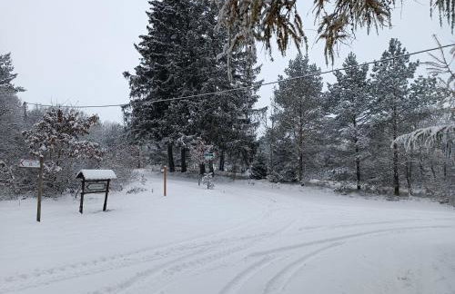 Rykowisko - domki całoroczne nad jeziorem i rzeką - Foto 48