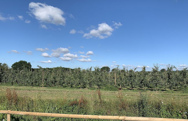 Blackberry Cottage - Foto 23