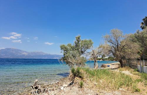 ATHINA-Georgia - Foto 17