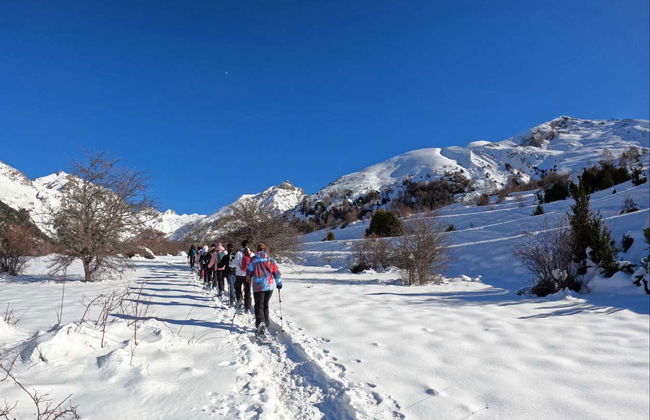 Snowshoeing in Valle de Tena - Photo 7