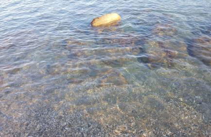 Villa dei Due Ulivi - Foto 118