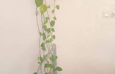 El Terrat de la Tecla - Dúplex Casc Antic - Foto 26