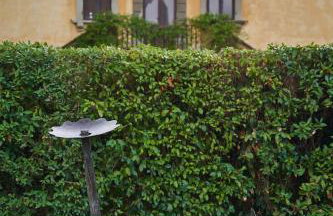 Fattoria la Loggia - Foto 99