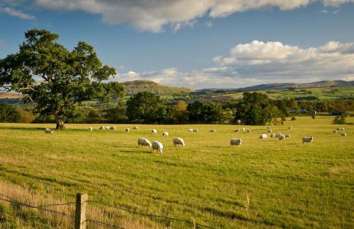 Cardross Holiday Cottages - Foto 18