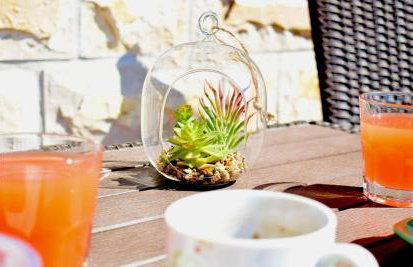 VILLA DINJA - Photo 14