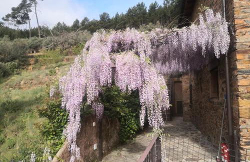 Alqueria De Hurdes - Foto 9