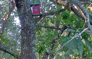 Moinho do Formigal - Foto 40