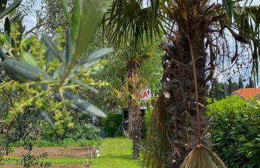 Jolie Ann Marie apartment - Photo 35