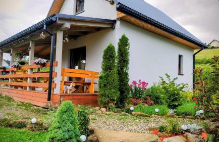 Domki w Bieszczadzkiej Dolinie - Foto 10