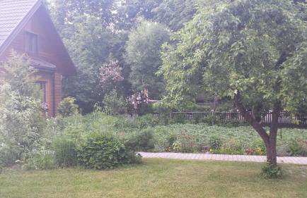 Kwiatowa Zagroda - Foto 27