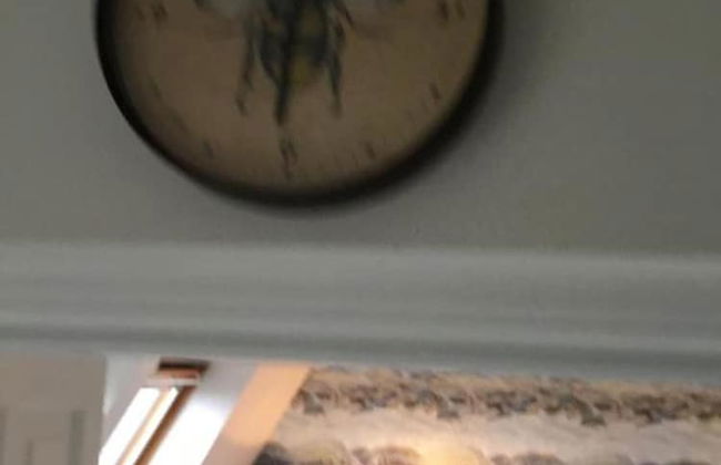 Serendipity- Romantic 1-bed Apt Ambleside - Foto 29