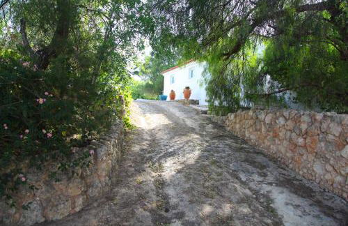 Quinta Teresinha - Foto 7