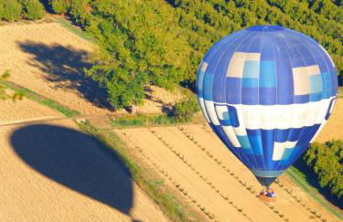 La Vigna del Parroco-2- - Foto 53