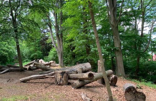 Kristallkugel - Foto 18