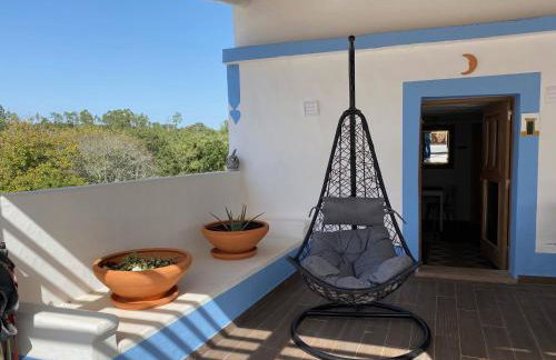 Casa do Papillon - Foto 1