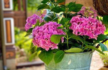 INNA BAJKA - Foto 51