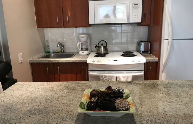 Atlas Suites on Yonge & Bloor - Foto 8