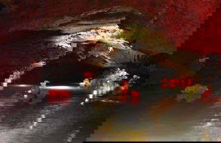 Excursion aux grottes de San José - Photo 3