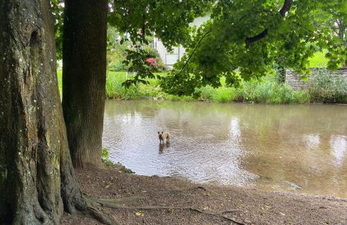 Lieblingsplatz Koblenz - Foto 49