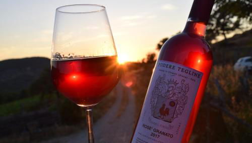 Agriturismo Podere Tegline - Foto 3