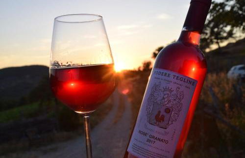 Agriturismo Podere Tegline - Foto 3