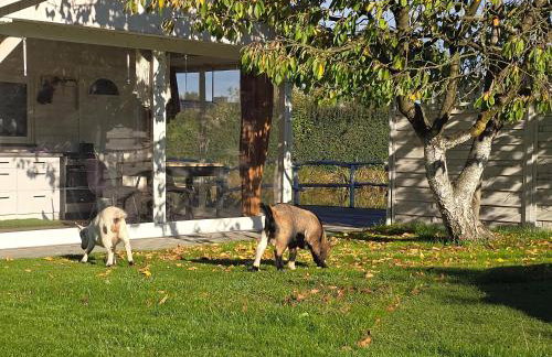 Agroturystyka Nad-Stawem 2 - Foto 10