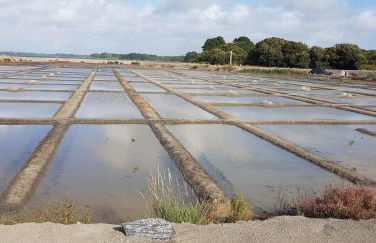 La Pomme de Mer - Foto 64