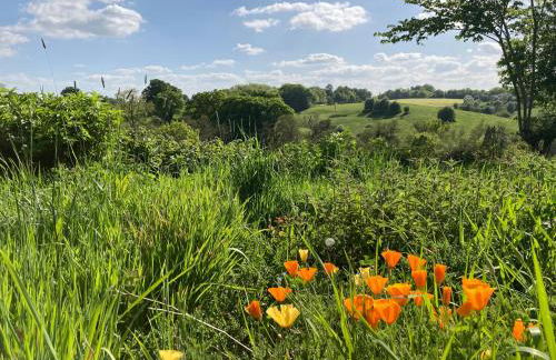 The Stable with cozy logburner - Foto 17