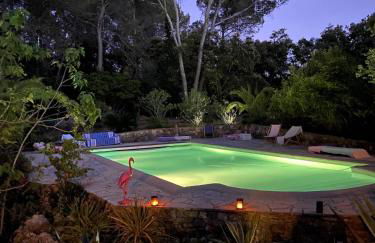 Villa Claudia Domaine les Palmiers - Foto 43