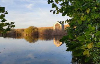 Stawy u Sikory - Domek Czapla - Agroturystyka i łowisko - Foto 17