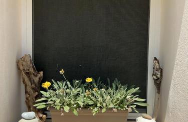 Aroma Elias - Foto 24