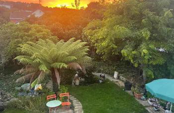 Chy An Geddon - Foto 9