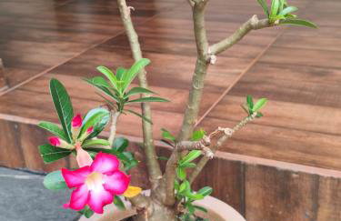 Lar Maria Lima - Foto 45