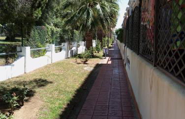 Cigüeñas - Foto 67