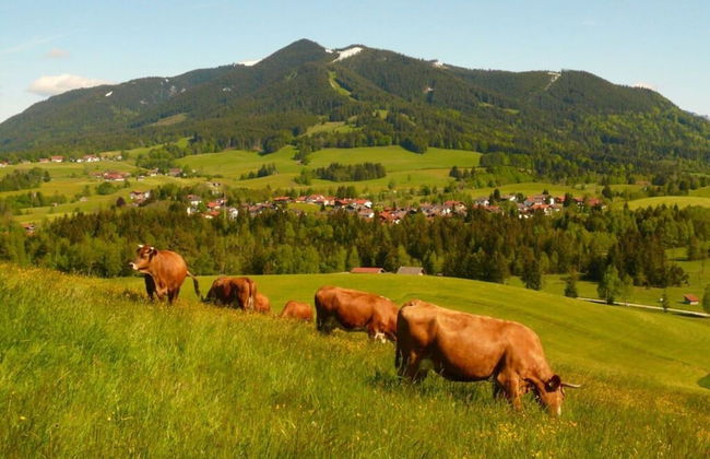 House Marina Modern Retreat - Foto 11