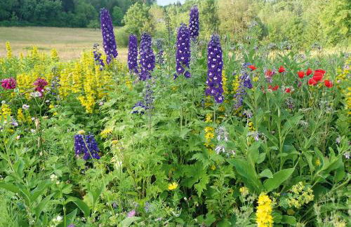 Landhaus Anja - Foto 43