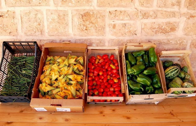 Agriturismo Masseria Galatea - Photo 12