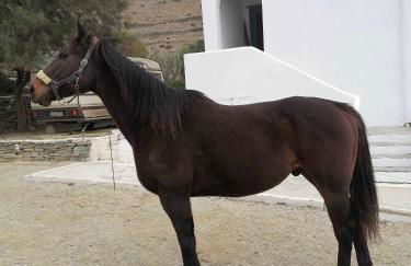 Balcony to the Aegean - Foto 46