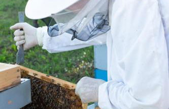 Agriturismo da Natalino - Foto 68