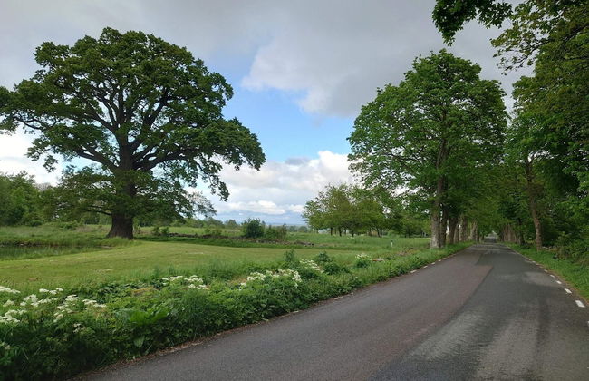 4 Person Holiday Home in Everod-by Traum - Foto 11