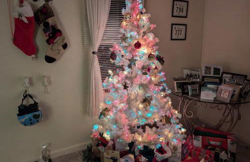 AG House, Recreaters,Work Remote, Surgery, Healing ADA, Pets, Parking - Foto 8